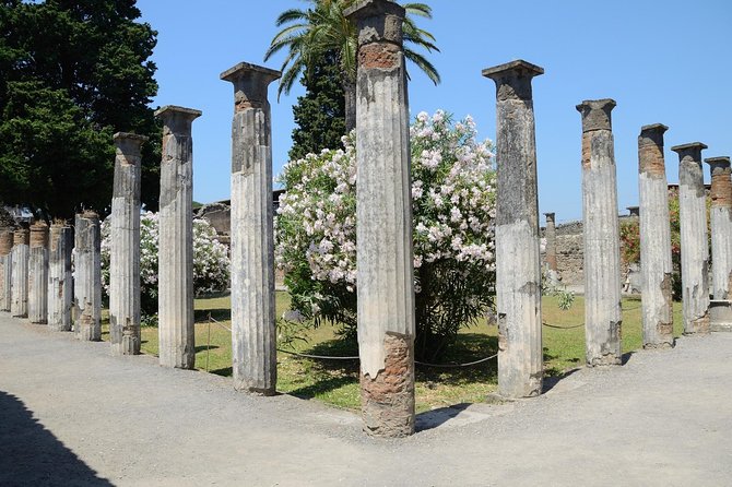 Private Tour Rome to Pompeii in private vehicle or fast train - Guides can make Pompeii feel alive: Josephine and Anna Sofia