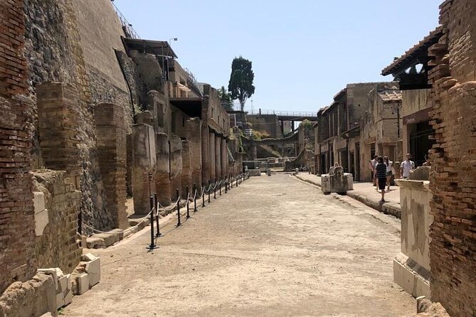 Private Tour to Pompei and Herculaneum: Skip-the-line Tickets - How the 7 to 8 hour schedule actually works