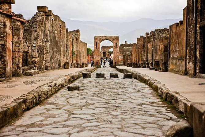 Private tour to Pompeii Herculaneum and Vesuvius - Pompeii Archaeological Park, 2 hours in the loudest classroom in Italy