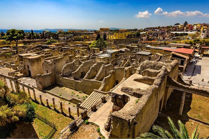 Private tour to Pompeii Herculaneum and Vesuvius - Price and logistics, what you are really paying for