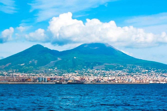 Private tour to Pompeii Herculaneum and Vesuvius - Driver-led explanations vs adding a real tour guide on request