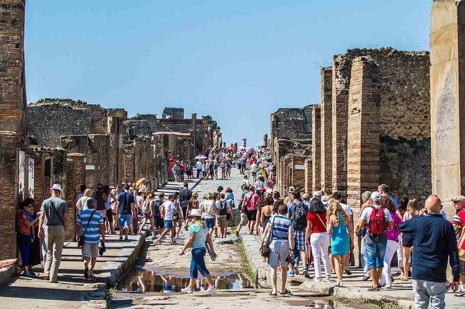 Private tour to Pompeii Herculaneum and Vesuvius - Who this private Pompeii, Herculaneum, and Vesuvius tour suits best