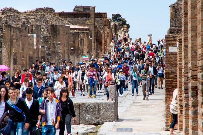 Private tour to Pompeii Herculaneum and Vesuvius - Vesuvius National Park climb, tickets and weather can decide everything