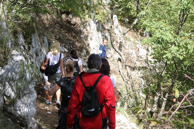 Private Tour: Truffle-Hunting Experience from Naples with Lunch - Monti Picentini and Volturara Irpina: where the truffles are grown