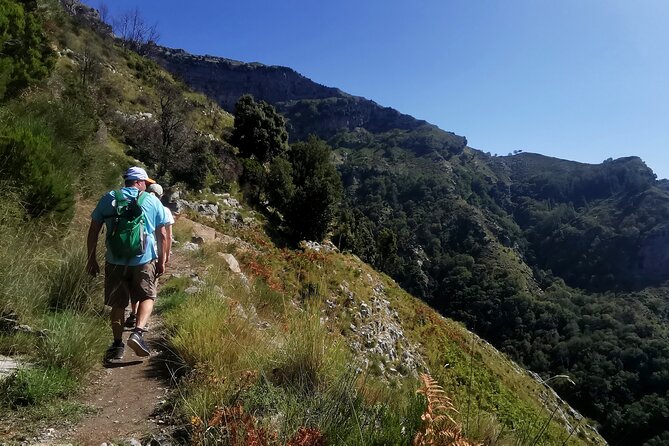 Private Tour Walking in Ferriere Valley Nature Reserve Amalfi - Stop 1: plant colonies that survived from far back in time