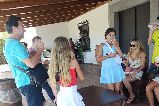 Private Transfer from Naples to Praiano - Your driver matters: the tone is friendly, but the service is serious