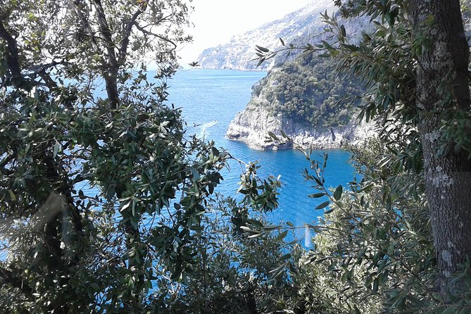 Private Transfer From Naples to Ravello/Sorrento stop at Pompeii - What you do at Pompeii during your roughly 2-hour stop