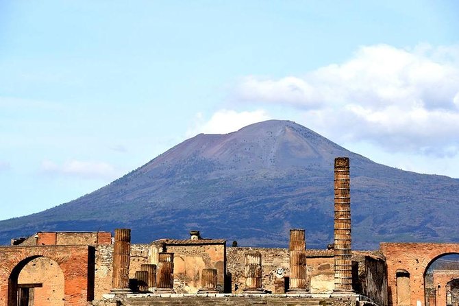 Private VIP tour to Pompeii Ruins with a Private Guide - Private guide quality can make Pompeii feel easier