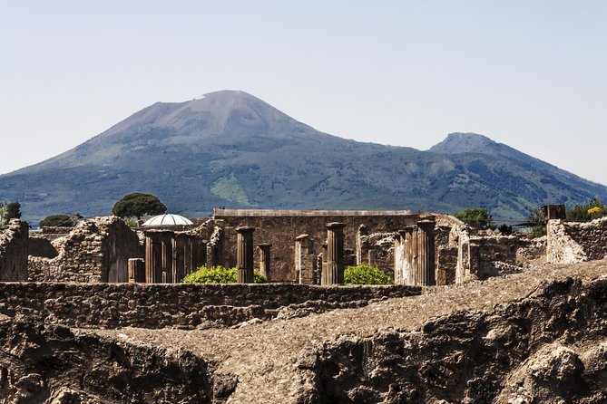 Private VIP tour to Pompeii Ruins with a Private Guide - Who this Pompeii VIP tour is best for