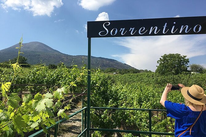 Private Wine Tour,lunch,8 wines, dedicated sommelier and trasport - Tenuta Sorrentino Vesuvio: vineyards, volcanic terroir, and the view factor