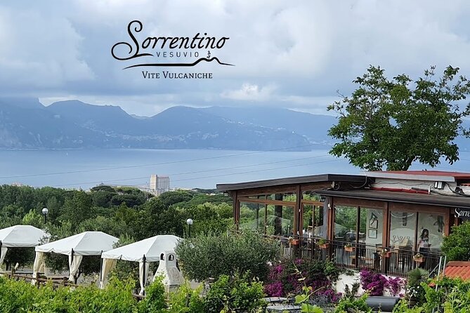Private Wine Tour,lunch,8 wines, dedicated sommelier and trasport - Lunch at the Sorrentino farmhouse: farm-to-table, 3 courses, and real pairing logic