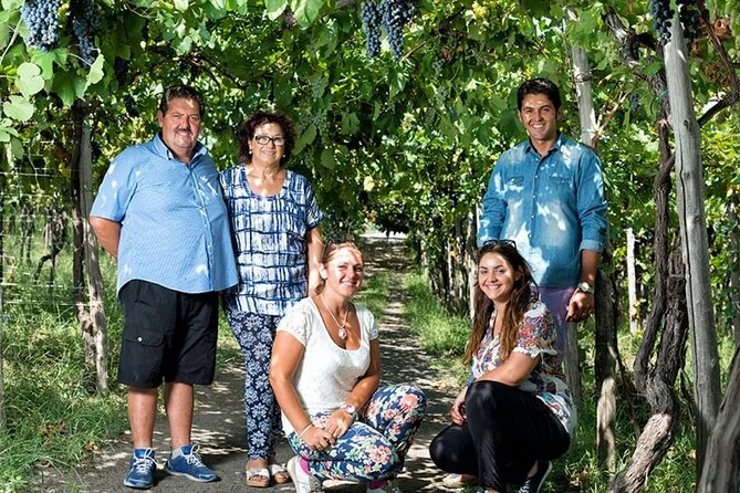 Private Wine Tour,lunch,8 wines, dedicated sommelier and trasport - Who this tour suits best (and who might skip it)