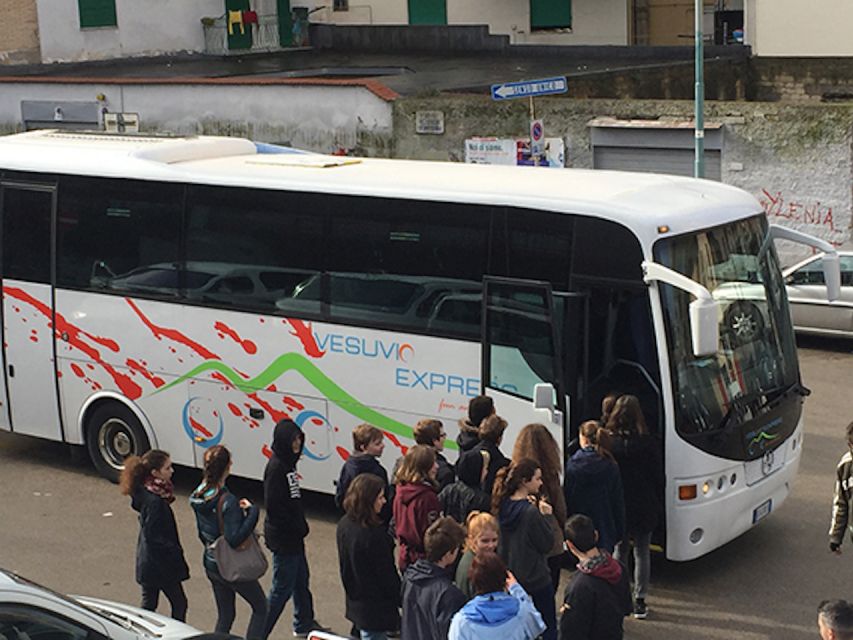 Round-Trip to Vesuvius National Park From Ercolano - Key Things To Know Before You Go