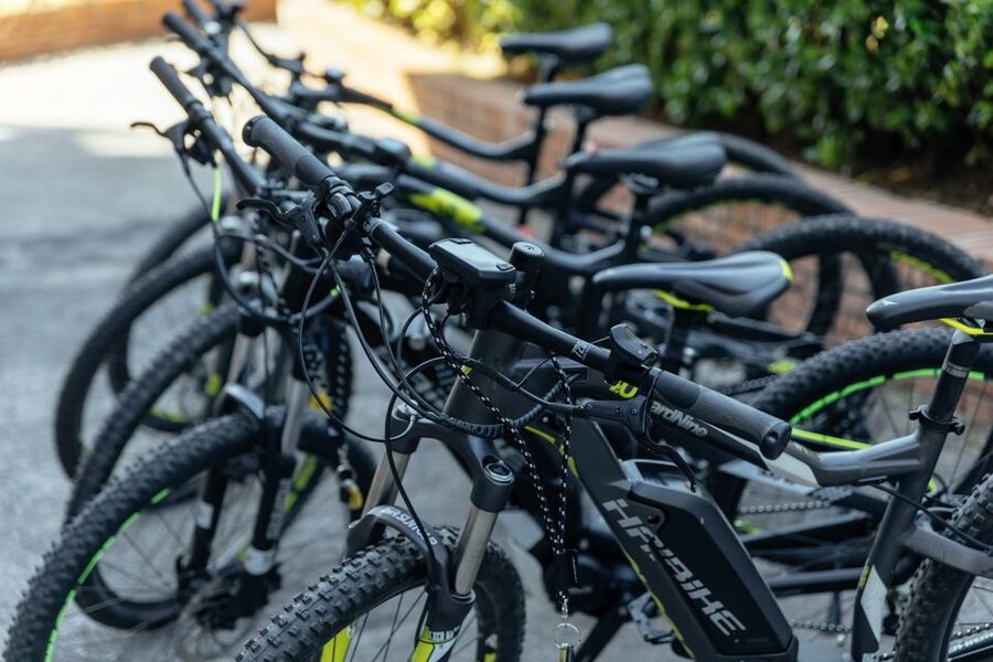Scenic E-Bike Ride with Vineyard Wine & Meal - 6 Key Things That Make This Half-Day Ride Worth It