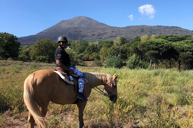Scenic Horseback Ride, Wine Tasting & Lunch on Mt. Vesuvius - Key Highlights Worth Your Time