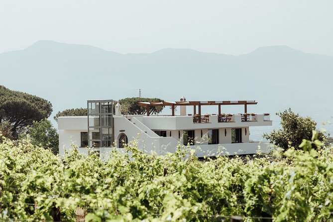 Scenic Wine Tasting & Lunch on the Slopes of Vesuvius from Naples - Vesuvius Vineyards: Why this Naples wine tasting feels different