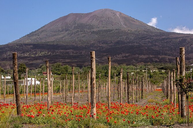 Scenic Wine Tasting & Lunch on the Slopes of Vesuvius from Naples - Who you meet matters: Guides and drivers that set the tone