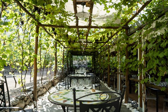 Seafood Lunch & Wine Tasting with Scenic Golf Cart Tour - The Four-Course Seafood Lunch That Drives the Pairings