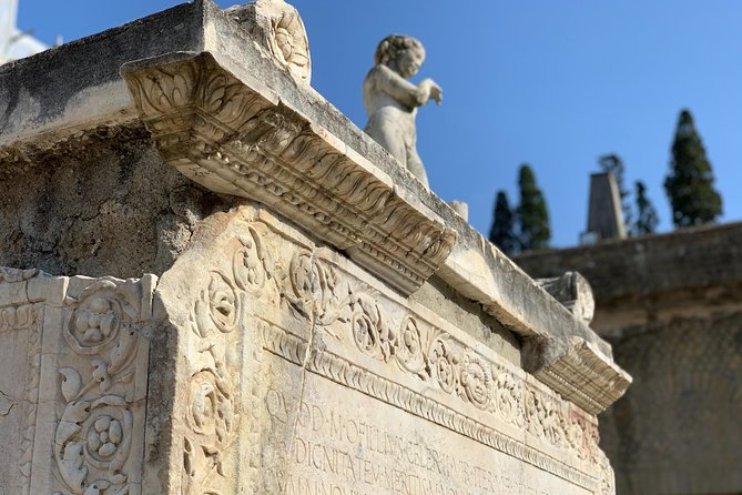 Secret Herculaneum: The Hidden Treasure of Ancient Roman Civilization - Stop-by-stop: what you will see and why each part matters