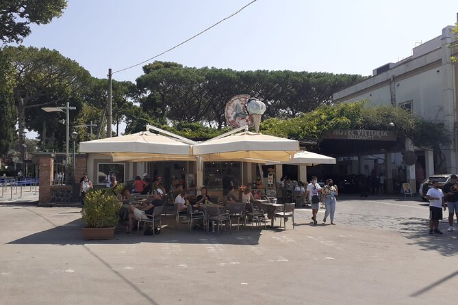 Semi - Private Tour of Pompeii with an Archaeologist - Crowds, queues, and the reality of walking in the sun