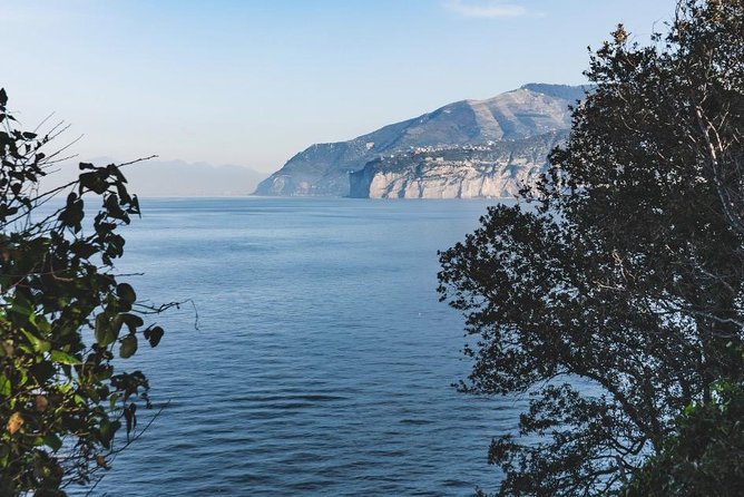 Shared Shuttle Service from Naples Central Station to Sorrento - Key Things to Know Before You Go