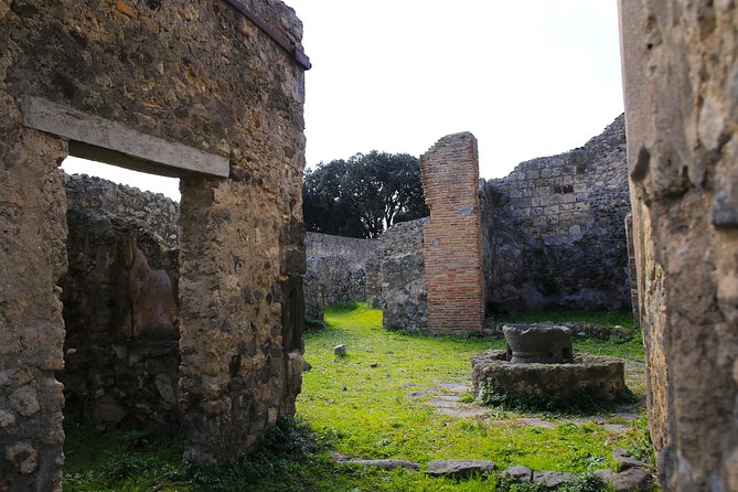 Shore Excursion Tour for Kids from Naples to Pompeii and Amalfi Coast - English-Speaking Support and Why It Matters With Teens