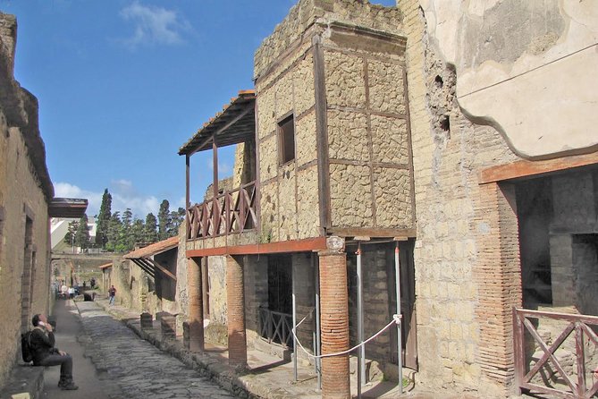Skip the Line Ancient Herculaneum Walking Tour with Top Rated Guide - A Guide That Makes the Ruins Feel Usable