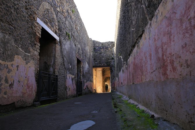 Skip the Line Guided Tour of Pompeii led by an Archaeologist - Stop 4, Stabian Baths (Terme Stabiane), seeing daily life beyond the streets