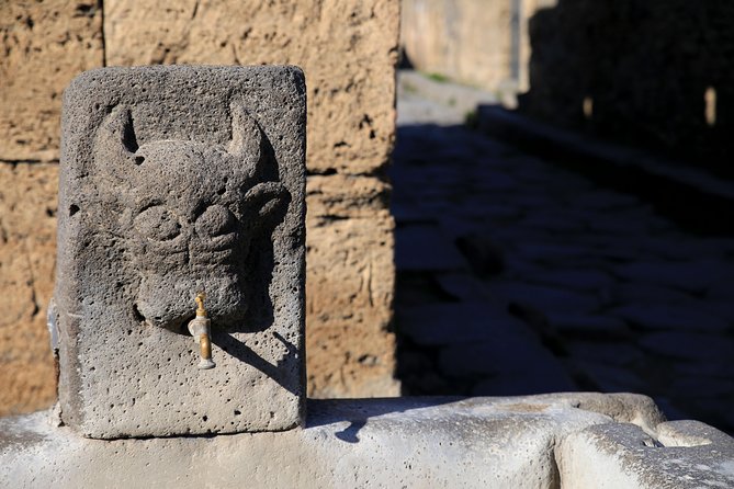 Skip-the-Line Half-Day Private Tour Ancient Pompeii Highlights with Native Guide - Skip-the-line entry means more Pompeii, less waiting