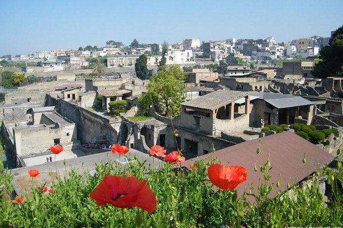 Skip the Line Herculaneum Ruins Ticket - How to plan the walk: 4.5 hours that actually fits real energy