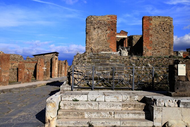 Skip the Line Pompeii Tour For Kids and Families w Special Guide - Private for Your Group: Guide Style Makes the Difference