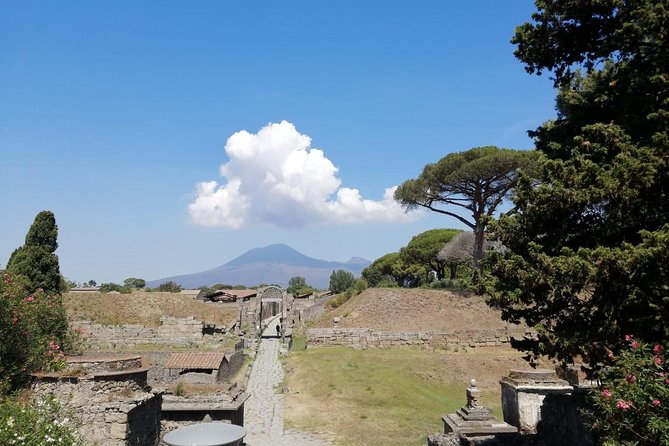 Skip-the-Line Pompeii & Volcano Vesuvius Day Tour w Hotel or Port Pickup - Skip-the-line Pompeii, where the real payoff is your time