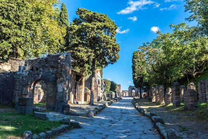 Skip the Line Private Pompeii Guided Tour - Entering Pompeii Fast at Porta Marina