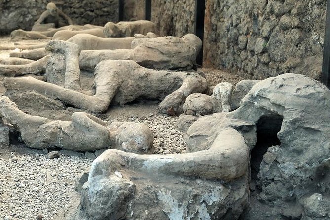 Skip the Line Private Pompeii Guided Tour - Sculture Monumentali di Igor Mitoraj, Modern Art in an Ancient City