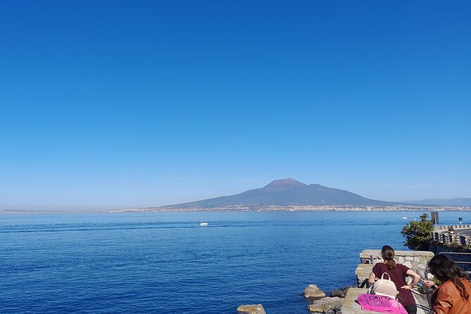 Skip-The-Line Tickets VIP Small Group Tour To Pompei and Vesuvius - Vesuvius National Park: volcanologist-led walking, big views, and real limits
