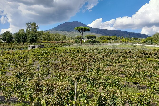 Skip-The-Line Tickets VIP Small Group Tour To Pompei and Vesuvius - Value check: is $325.11 worth it?