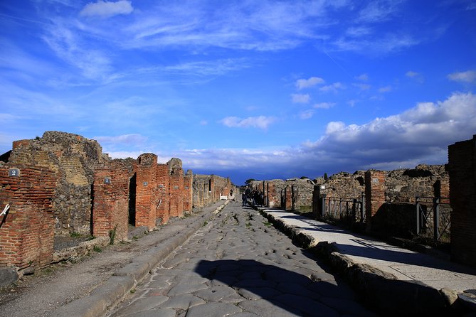 Skip the Line Tour of Pompeii for Kids & Families - Skip-the-line Pompeii, meet at Hotel Vittoria