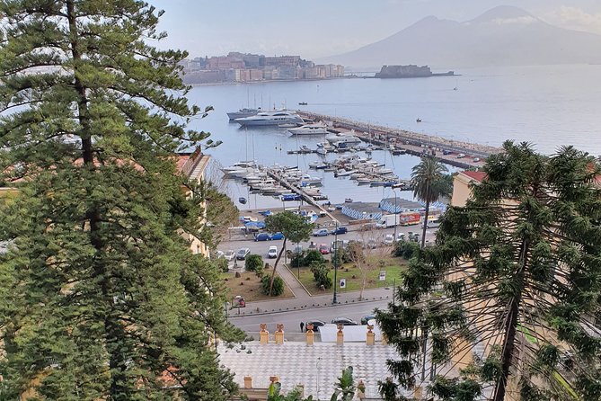 Small Group Naples City Sightseeing Tour - Price and value: when $38.37 feels fair and when it does not