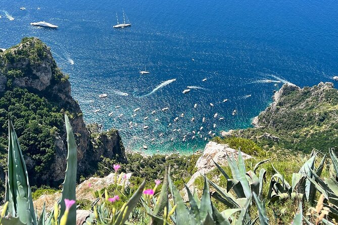Small Group Tour from Rome to Blue Grotto, Anacapri and Capri - Anacapri: a calmer side of the island with time to eat and shop