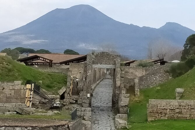 Small-Group Tour in Pompeii with a Real Archeologist, ticket included - Suburban Baths and Casa del Fauno: Movement, Water, and Status