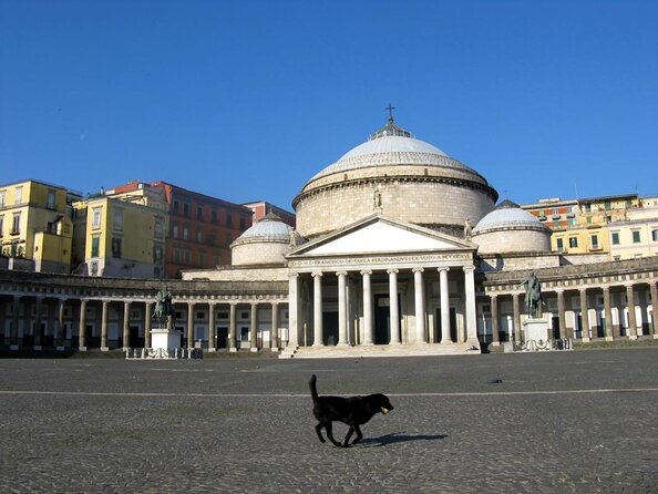 The Origins Of Naples. Unique private tour of the monumental area - Meet near Castel dell’Ovo, then follow the guide’s lead