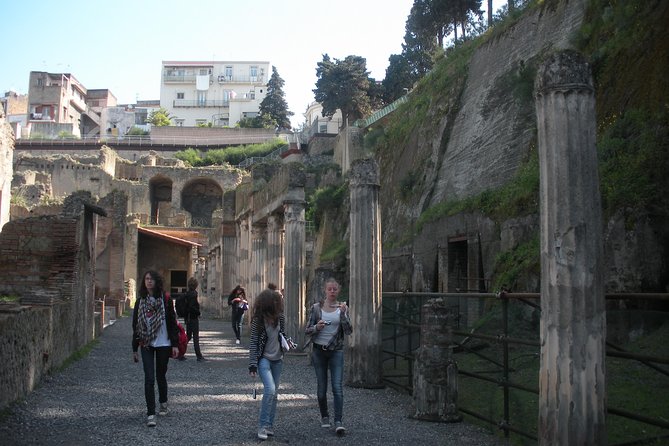 Tour in the ruins of Herculaneum with an archaeologist - Who this tour suits best