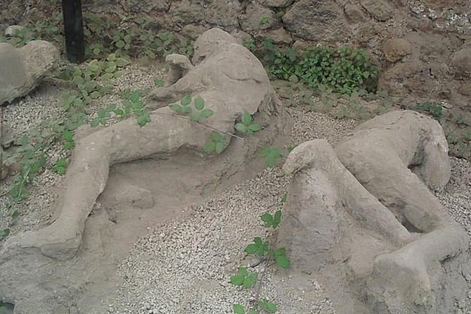 Tour of Mt. Vesuvius+Sorrento+Pompeii (Full Day) - Pompeii after Sorrento: admission basics and guide options