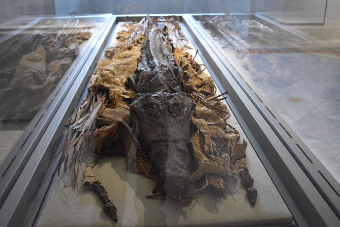 Tour of the Archaeological Museum of Naples - Your guide can change everything, and the tour has strong track record