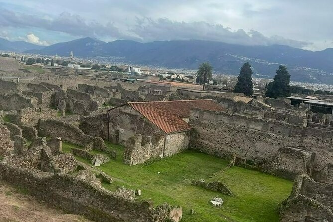 Tramvia Napoli Daily Trip to Pompeii Ruins - Who this Pompeii day trip fits best