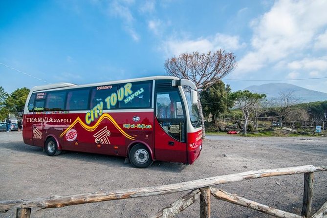 Tramvia Napoli: Transfer to Herculaneum Ruins + Vesuvius - Key highlights