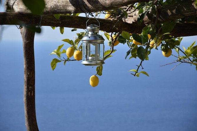 Transfer from Naples to the Amalfi Coast or Vice Versa - What you are really booking: a coast-day lifeline