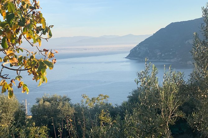 Unique Tour | Discovering Amalfi on a Minivan with driver - How to plan your day once you are on the coast