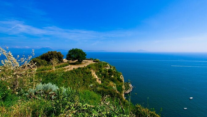 Vespa Panoramic Tour - Key things to know before you go