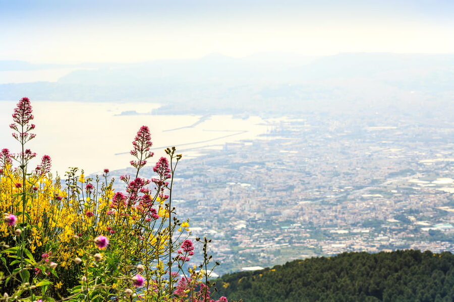 Vesuvio Skip The Line Ticket With Digital Audioguide - Key Takeaways Before You Go